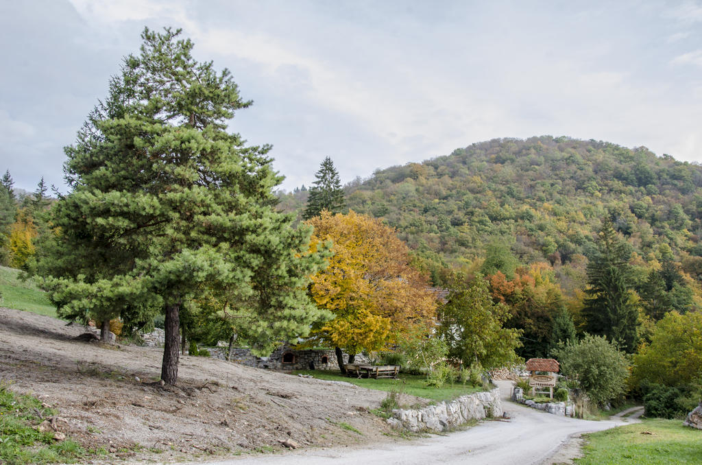 Miskar Rooms Cerknica Eksteriør bilde