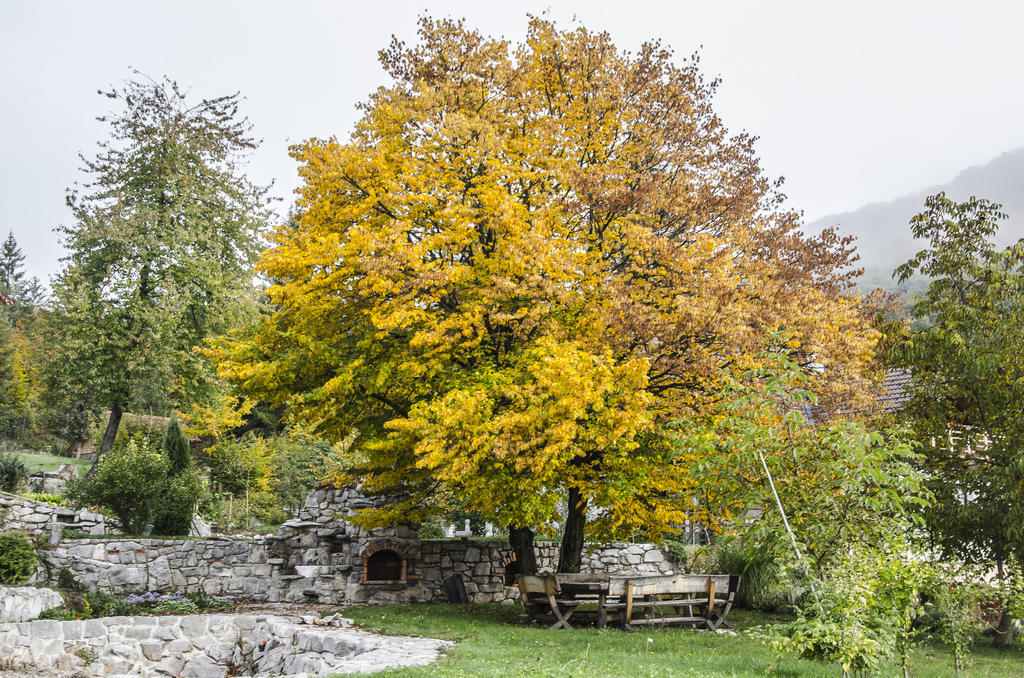Miskar Rooms Cerknica Eksteriør bilde